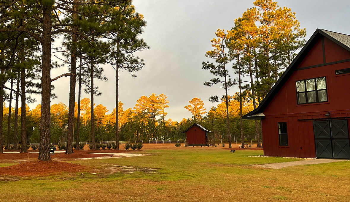 Therapy in a farm setting