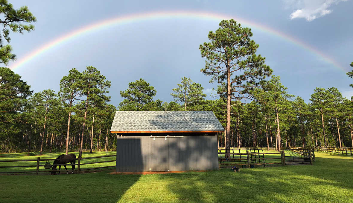 Discover a better version of yourself