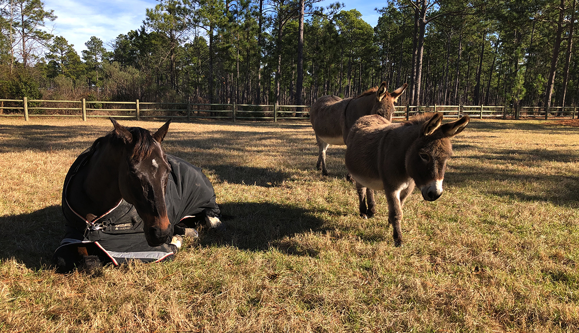 What will work best for you?